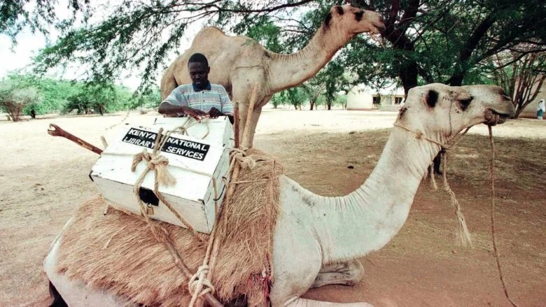 camel librarian
