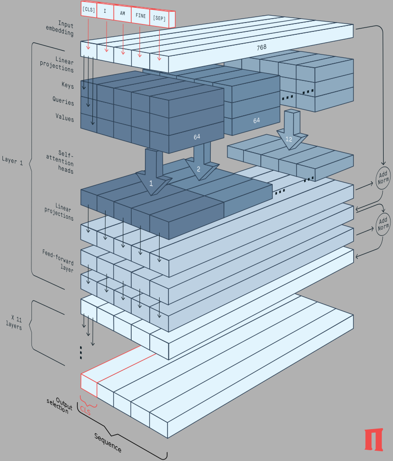 3D illustration of BERT architecture