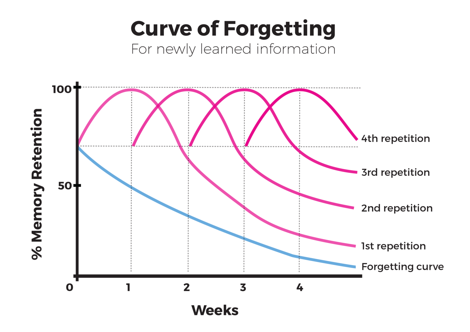 forgetting curve